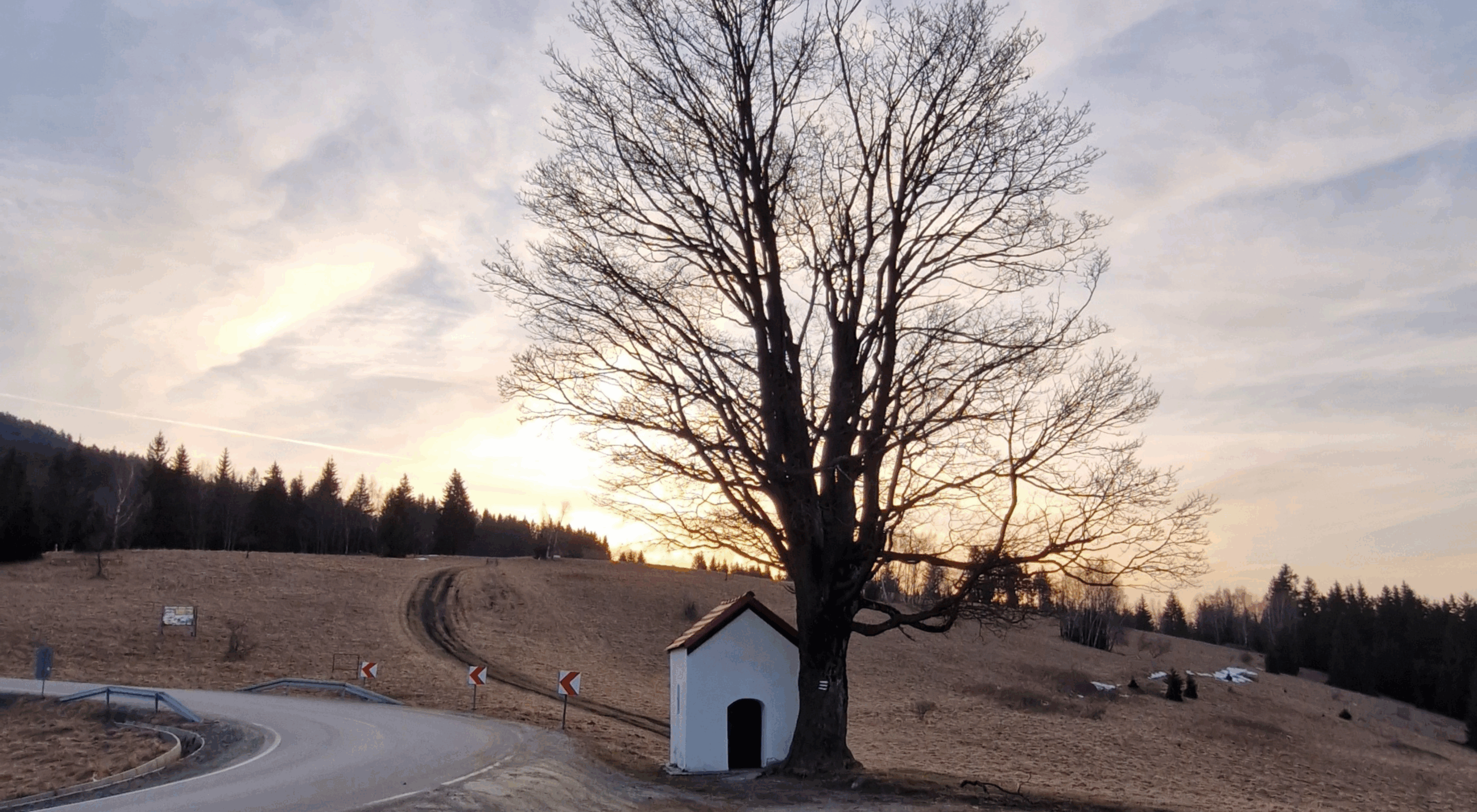 Kamperem na dziko w Polsce? Sprawdź to polecane miejsce.