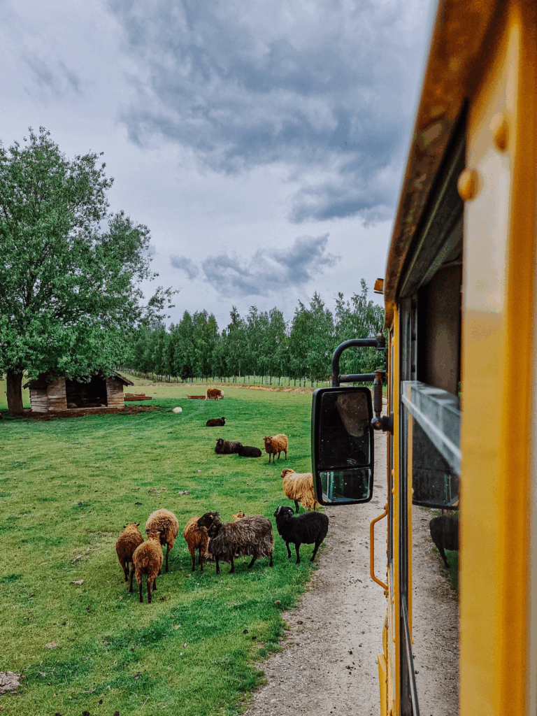 bałtów świętokrzyskie dla dzieci rodziny wakacje weekend