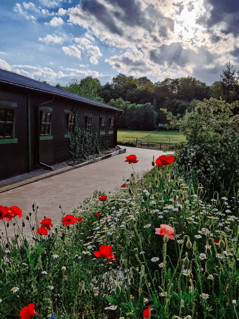 podróże z dziećmi natura atrakcje weekend z rodziną