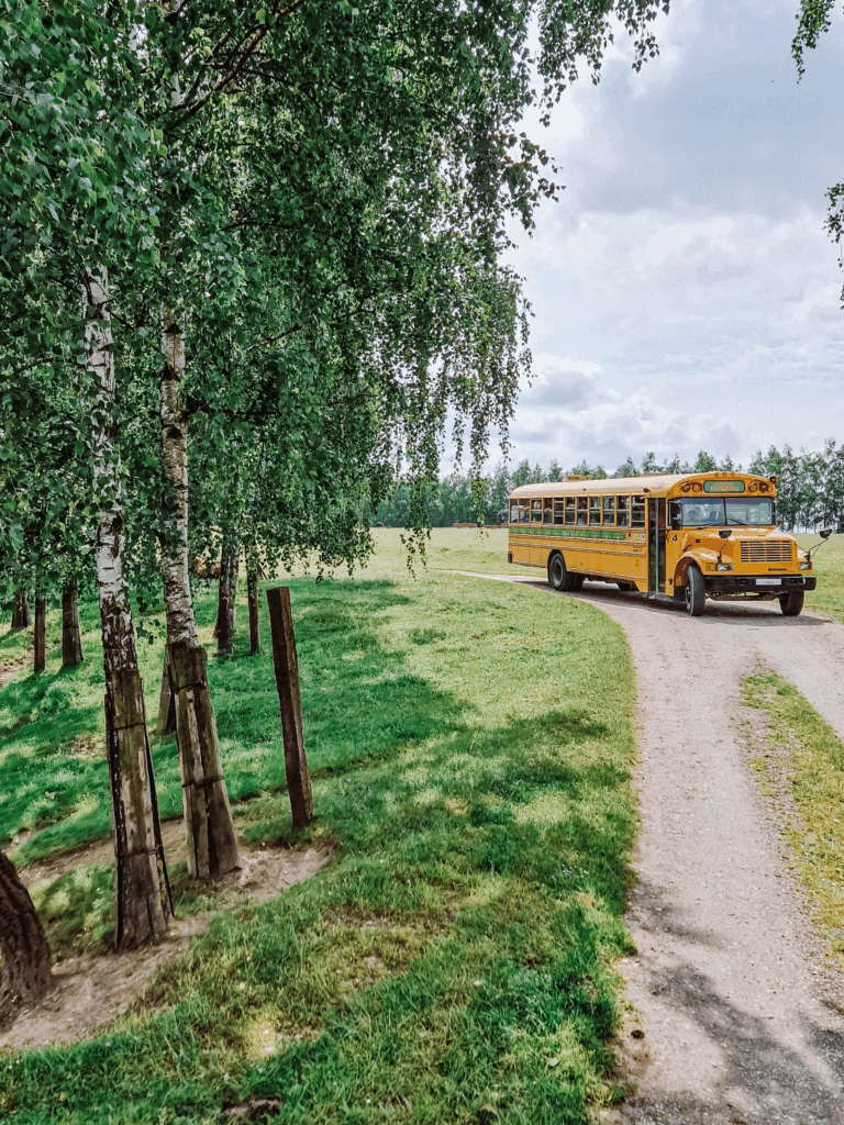 safari zwierzęta atrakcje dzieci rodzina