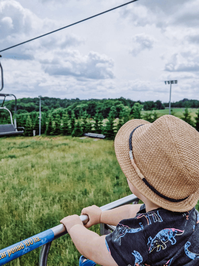 atrakcje park rozrywki atrakcje dla dzieci