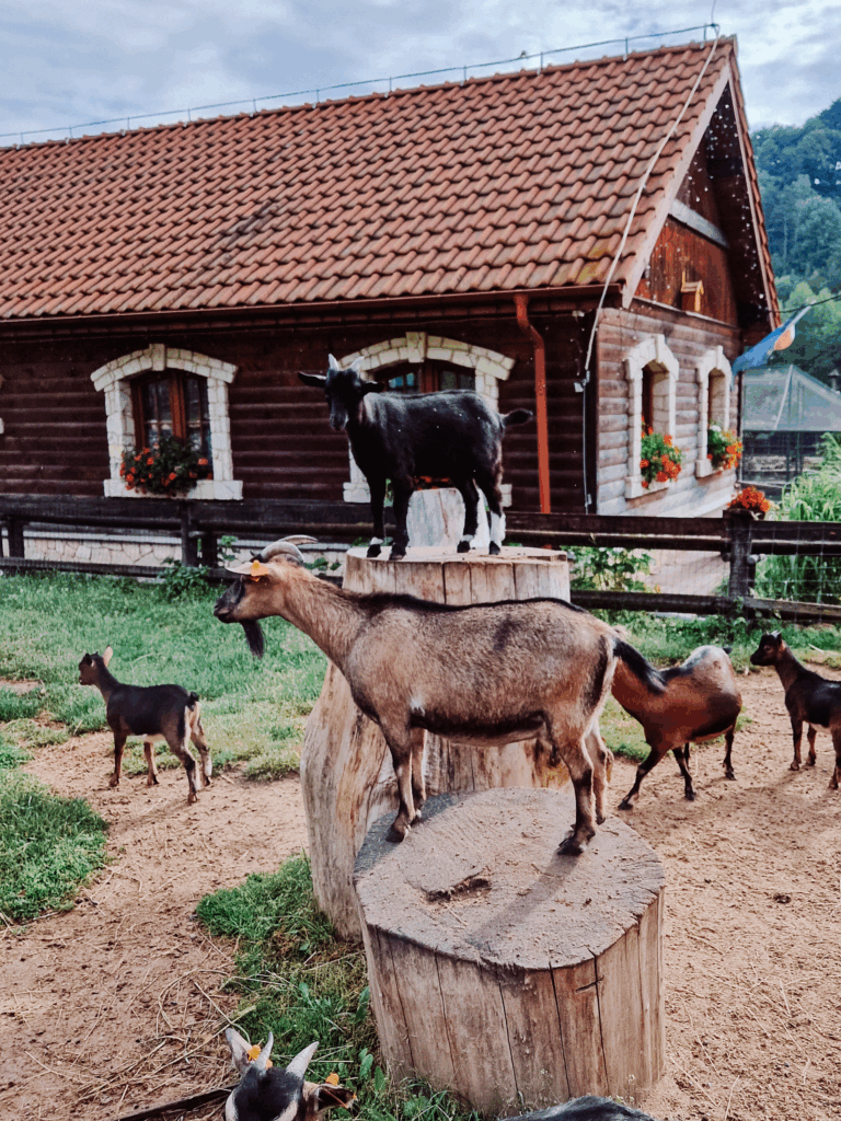 podróże dzieci rozrywka wakacje atrakcje
