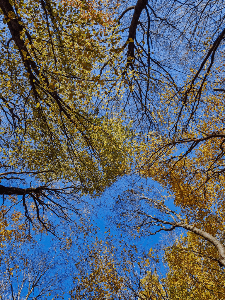 podróże z dziećmi atrakcje śląskie