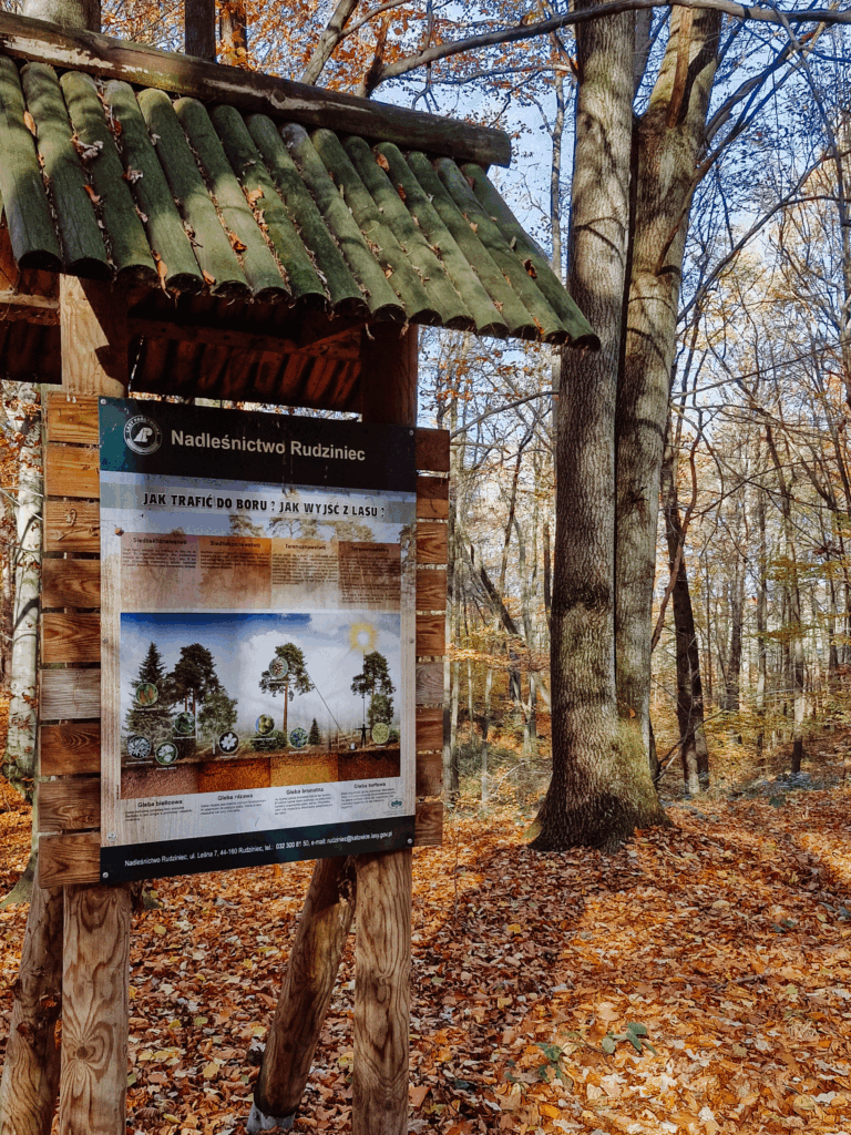 atrakcje śląskie dzieci podóże