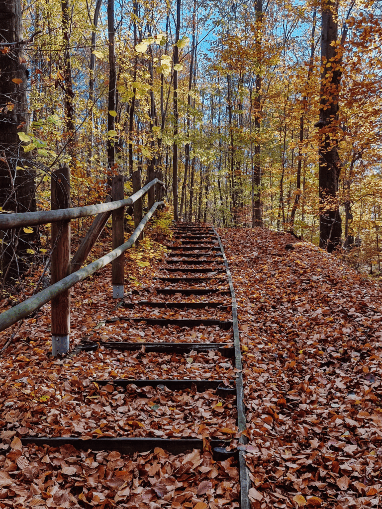 las trasa podróże gliwice