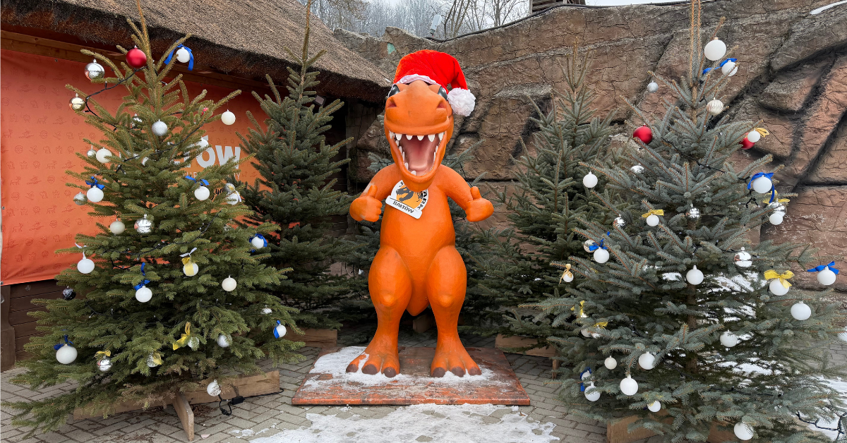 Zimowy wyjazd do Bałtowskiego Kompleksu Turystycznego – idealne ferie zimowe w Polsce