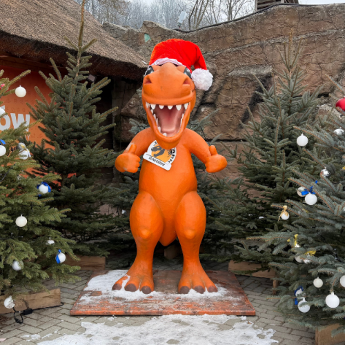 Zimowy wyjazd do Bałtowskiego Kompleksu Turystycznego – idealne ferie zimowe w Polsce